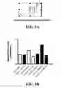 Fig. 06 - Ship inhibitors and uses thereof