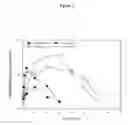Fig. 08 - HEPCIDIN MIMETIC PEPTIDES AND USES THEREOF
