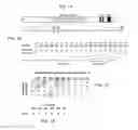 Fig. 02 - Modular DNA-binding domains and methods of use