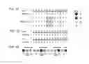 Fig. 05 - Modular DNA-binding domains and methods of use