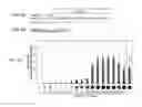 Fig. 06 - Modular DNA-binding domains and methods of use