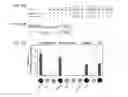 Fig. 16 - Modular DNA-binding domains and methods of use