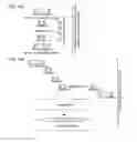 Fig. 28 - Modular DNA-binding domains and methods of use
