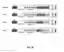 Fig. 44 - Modular DNA-binding domains and methods of use