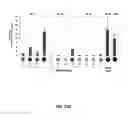 Fig. 46 - Modular DNA-binding domains and methods of use