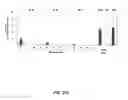 Fig. 47 - Modular DNA-binding domains and methods of use