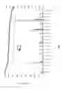 Fig. 05 - Plasmodium falciparum antigens