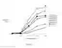 Fig. 10 - MOLECULES THAT SELECTIVELY ACTIVATE REGULATORY T CELLS FOR THE TREATMENT OF AUTOIMMUNE DISEASES