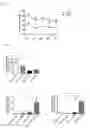 Fig. 02 - LIPIDATED PEPTIDES AS NEUROPROTECTIVE AGENTS
