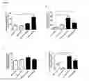 Fig. 03 - LIPIDATED PEPTIDES AS NEUROPROTECTIVE AGENTS