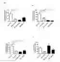 Fig. 04 - LIPIDATED PEPTIDES AS NEUROPROTECTIVE AGENTS