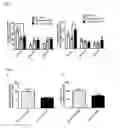 Fig. 06 - LIPIDATED PEPTIDES AS NEUROPROTECTIVE AGENTS