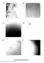Fig. 05 - Islet amyloid polypeptides with improved solubility