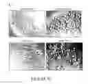 Fig. 08 - Islet amyloid polypeptides with improved solubility