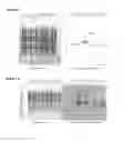 Fig. 03 - Variants of C-Type Natriuretic Peptide