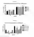 Fig. 18 - Variants of C-Type Natriuretic Peptide