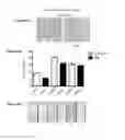 Fig. 29 - Variants of C-Type Natriuretic Peptide