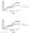 Fig. 03 - Novel Glucagon Analogues