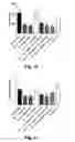 Fig. 07 - Novel Glucagon Analogues