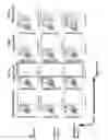 Fig. 12 - Compositions and methods of chimeric autoantibody receptor T cells
