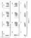 Fig. 18 - Compositions and methods of chimeric autoantibody receptor T cells