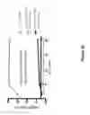 Fig. 27 - Compositions and methods of chimeric autoantibody receptor T cells