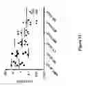 Fig. 34 - Compositions and methods of chimeric autoantibody receptor T cells