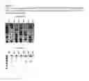 Fig. 07 - TCR LIBRARIES