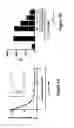 Fig. 02 - CCR2 ANTAGONIST PEPTIDES