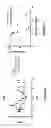 Fig. 07 - CCR2 ANTAGONIST PEPTIDES