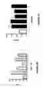 Fig. 09 - CCR2 ANTAGONIST PEPTIDES