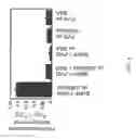 Fig. 05 - Targeted coagulation factors and method of using the same