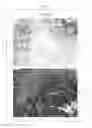 Fig. 12 - Composition for inducing differentiation