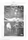 Fig. 13 - Composition for inducing differentiation