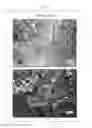 Fig. 15 - Composition for inducing differentiation