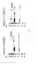 Fig. 06 - Antigen binding constructs to target molecules