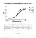 Fig. 16 - Antigen binding constructs to target molecules