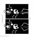 Fig. 26 - Antigen binding constructs to target molecules