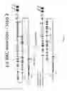 Fig. 12 - ANIMAL MODELS AND THERAPEUTIC MOLECULES
