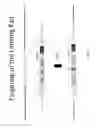 Fig. 23 - ANIMAL MODELS AND THERAPEUTIC MOLECULES