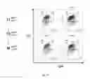 Fig. 54 - ANIMAL MODELS AND THERAPEUTIC MOLECULES