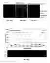 Fig. 05 - H1N1 flu virus neutralizing antibodies