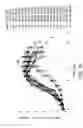 Fig. 02 - METHODS FOR CONTROLLING THE GALACTOSYLATION PROFILE OF RECOMBINANTLY-EXPRESSED PROTEINS