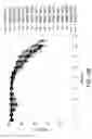 Fig. 16 - METHODS FOR CONTROLLING THE GALACTOSYLATION PROFILE OF RECOMBINANTLY-EXPRESSED PROTEINS