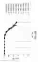 Fig. 34 - METHODS FOR CONTROLLING THE GALACTOSYLATION PROFILE OF RECOMBINANTLY-EXPRESSED PROTEINS