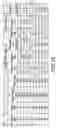 Fig. 36 - METHODS FOR CONTROLLING THE GALACTOSYLATION PROFILE OF RECOMBINANTLY-EXPRESSED PROTEINS