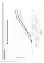 Fig. 25 - Nucleic acid molecules encoding monoclonal antibodies specific for IL-22
