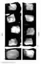 Fig. 28 - Nucleic acid molecules encoding monoclonal antibodies specific for IL-22