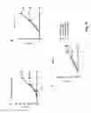 Fig. 31 - Nucleic acid molecules encoding monoclonal antibodies specific for IL-22