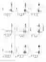 Fig. 37 - Nucleic acid molecules encoding monoclonal antibodies specific for IL-22